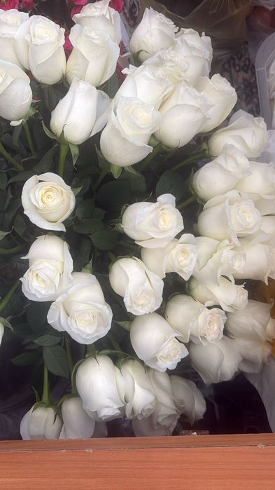 Свежый адемі гул.Кеше алғанбыз.Бағасын келісемізз