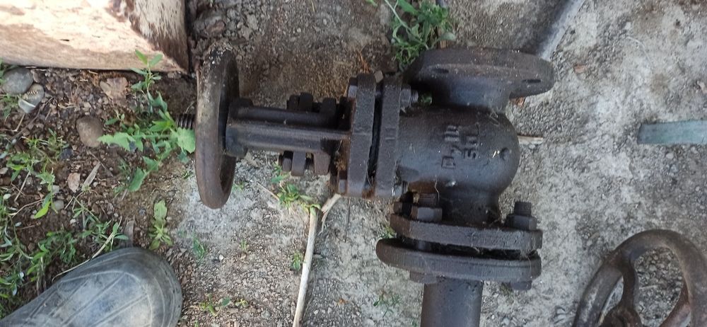 Задвишка шабады мм сұрап