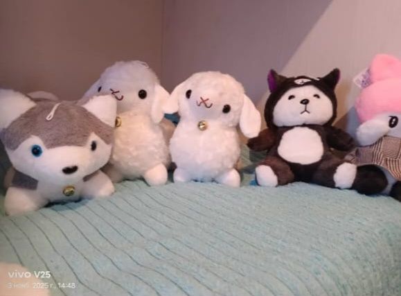 Аниматоры на выезд Семей