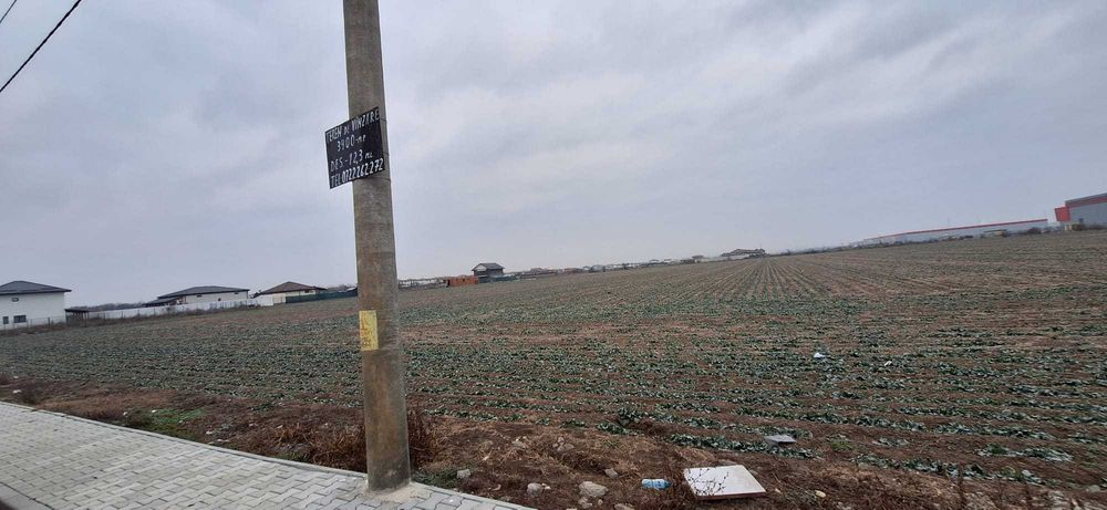 Teren intravilan Dragomiresti-Deal, Str. Ulmului, 3400mp