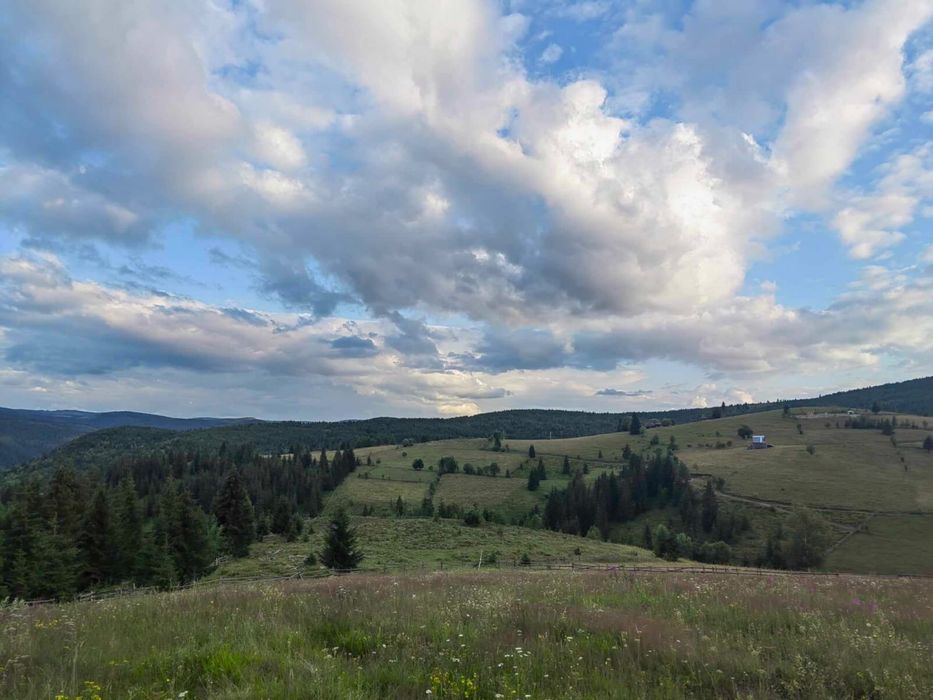 Teren la Munte ~ Maguri ~ Jud. Cluj