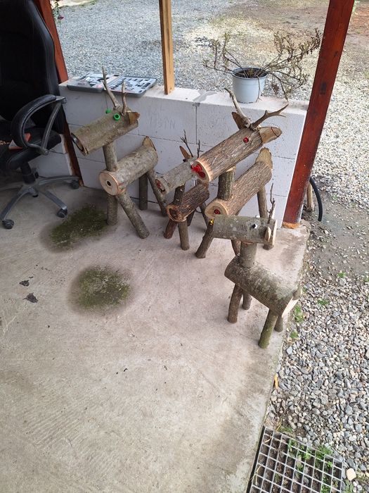 Casa si gradina superbe