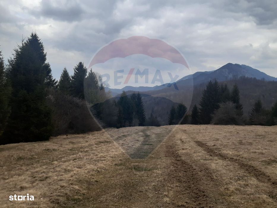 Teren Rasnov, Soseaua Predealului DN73B