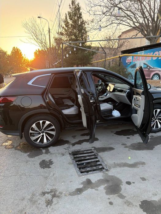 Byd champion 2024