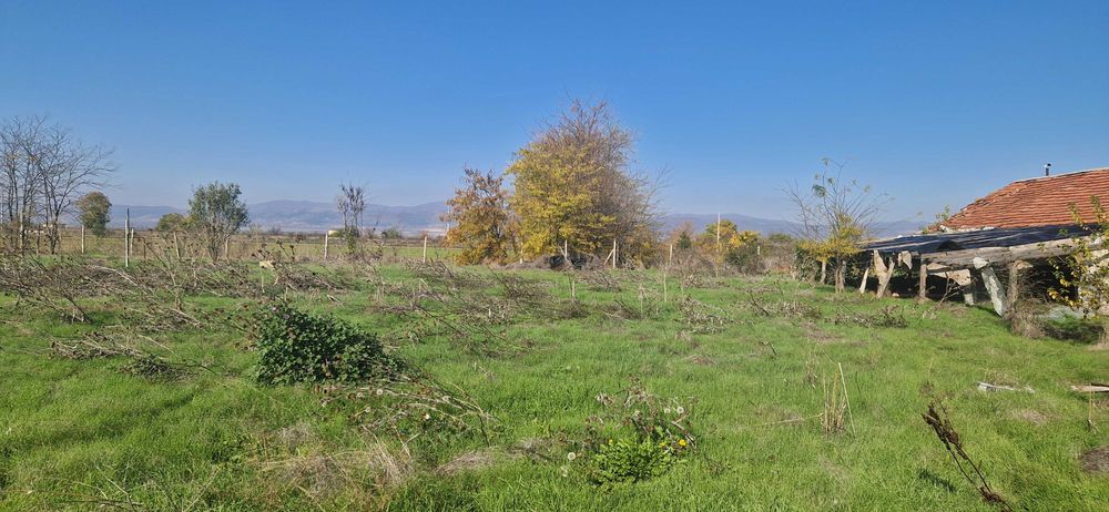 Селскостопански имот