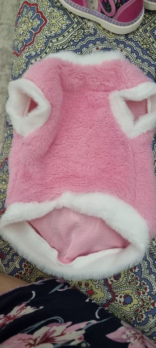 Одежда для кошек