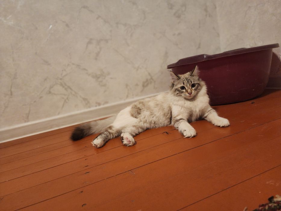 Ajoyib imkoniyat narhini kelishamiz