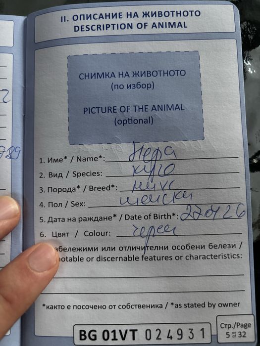 Нера търси своето семейство