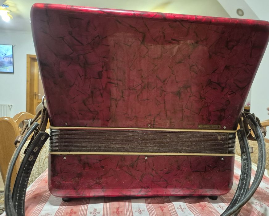 Vand Acordeon Parrot