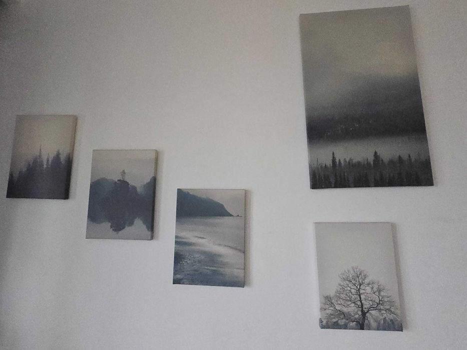 Set 9 tablouri printate canvas