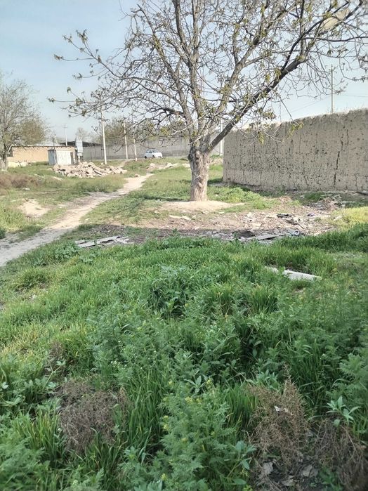 Продается участок (Ховли сотилади). Лучше предложение для инвестиций!