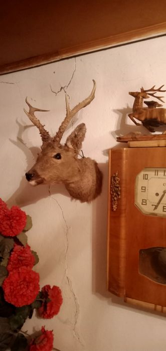 Часы старинные настенные