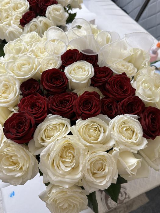 Цветы свежий бугын келген