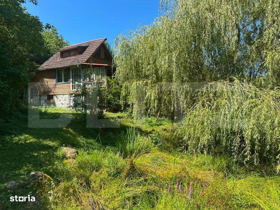 Cabana cu pescarie si natura, oaza de liniste, in satul Hondol