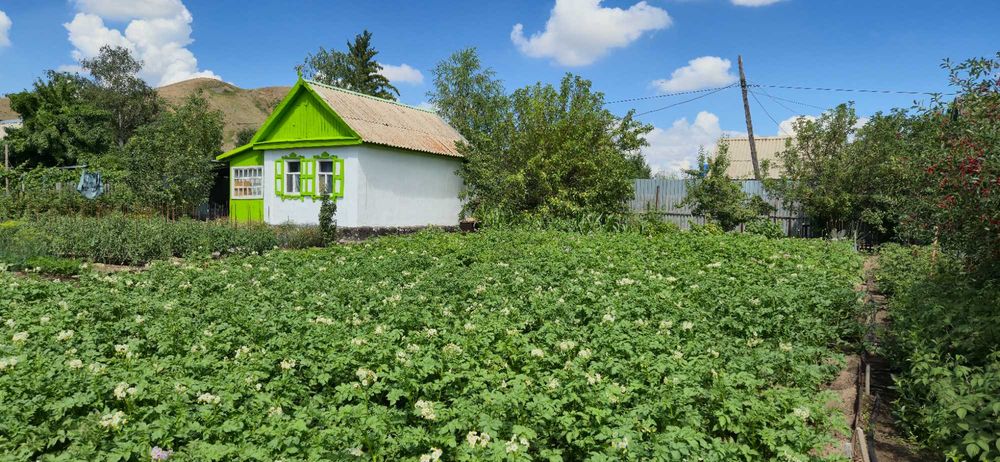 Продаю дачу в обществе СПП