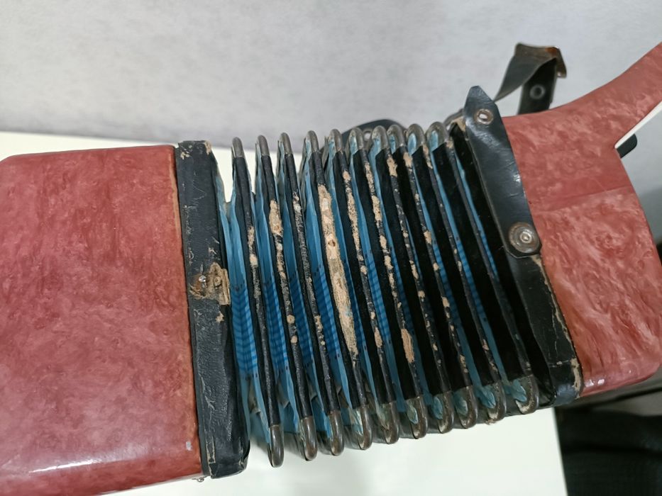 Аккордеон Малыш рабочий