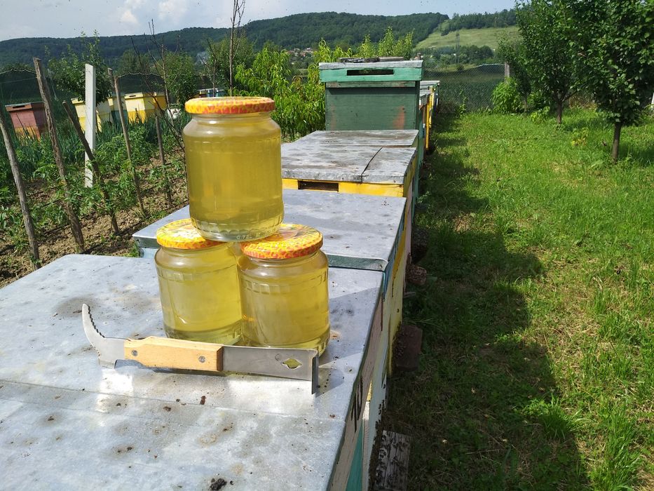 Propolis și miere de salcâm 2024 calitate Premium