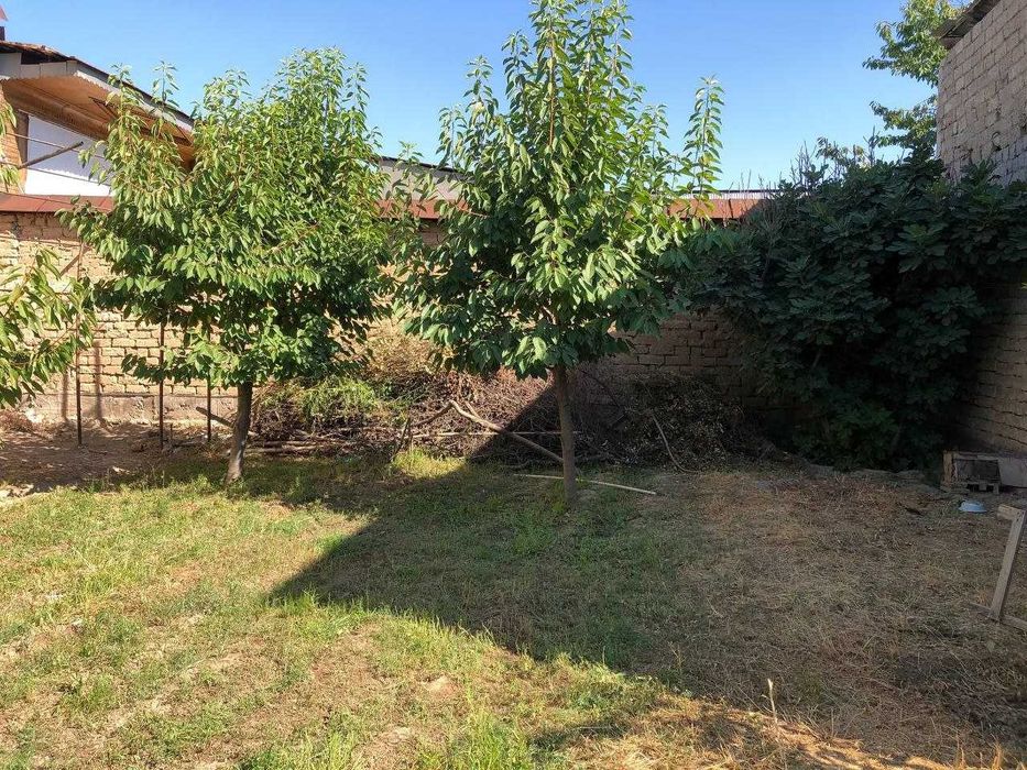 Срочна участка Сотилади