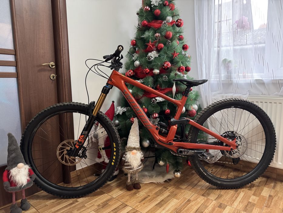 Specialized Enduro (2023) S4