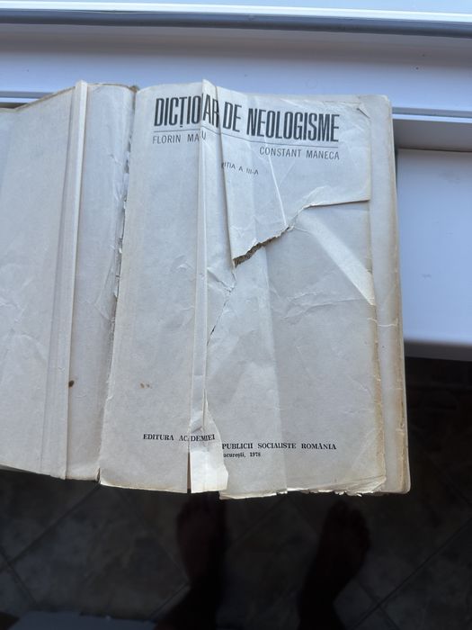 Vand Dictionar Neologisme
