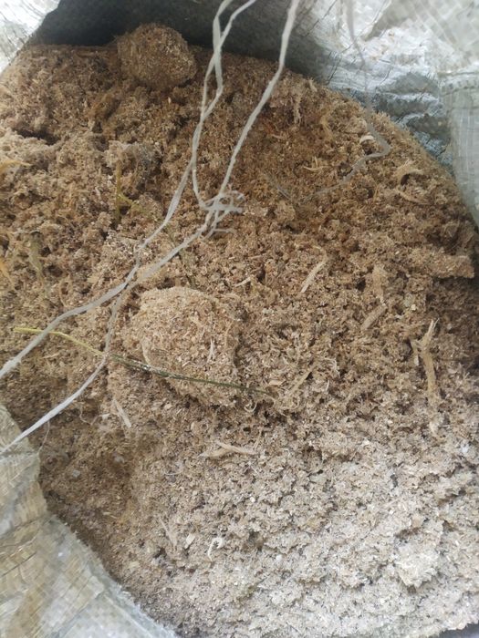Отдам куриный навоз бесплатно