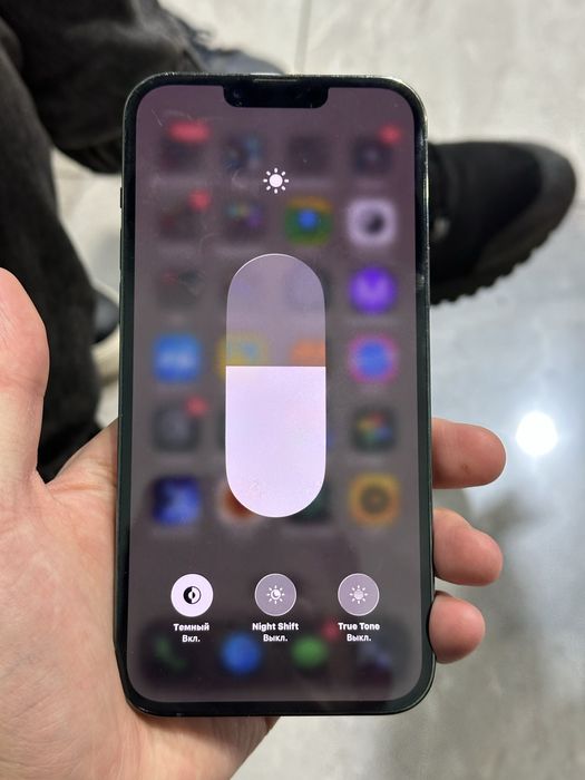 Apple iPhone 13 pro max