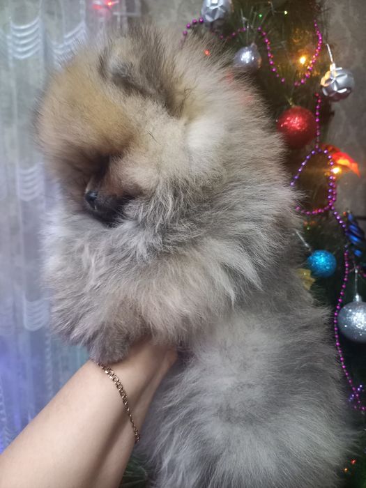 Очень красивые малыши