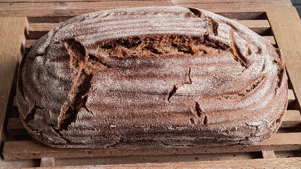 Maia artizanală, sălbatică bio, 3 feluri, rețeta pâine făina secară