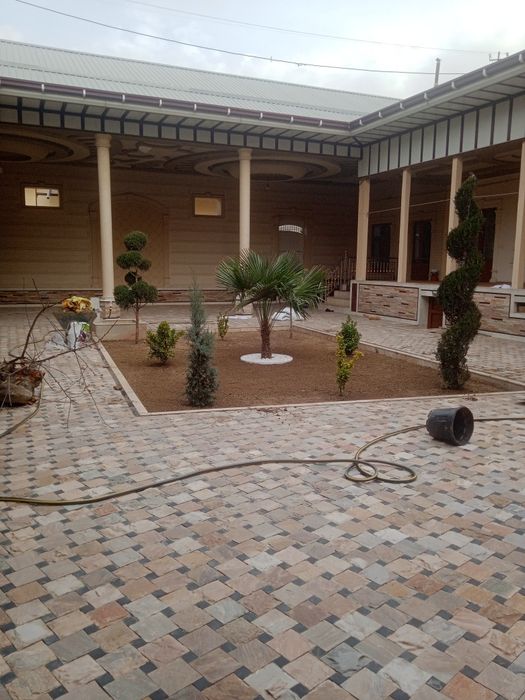 Gazon urug sepish landshaft palif xizmati