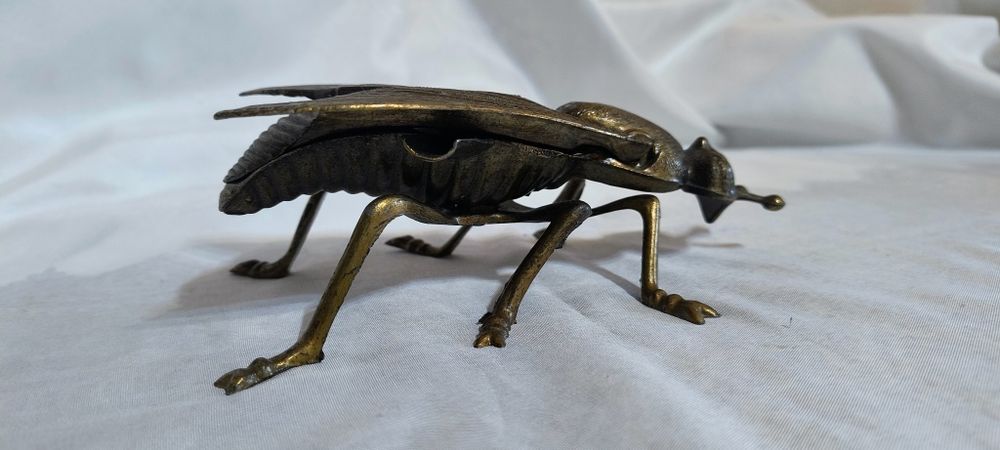 Голяма бронзова муха - пепелник