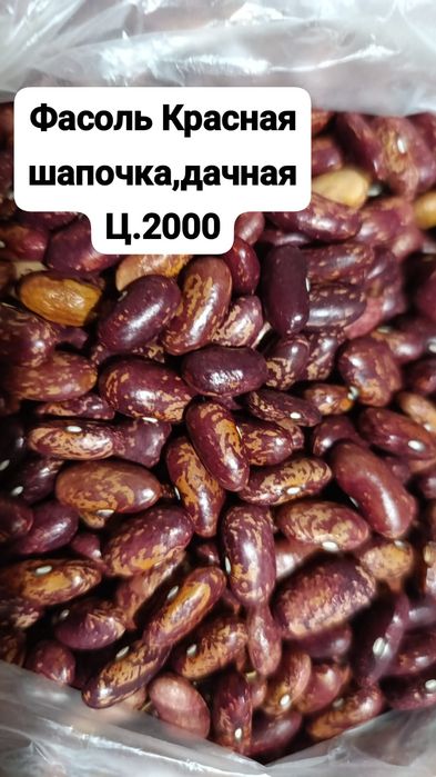 Фасоль дачная, Красная шапочка, кустовая