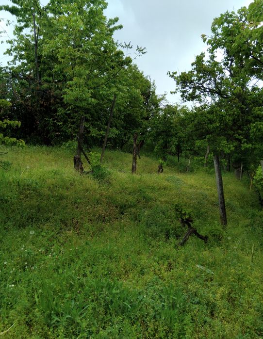 Продава къща в с.Згурово обл.Кюстендил