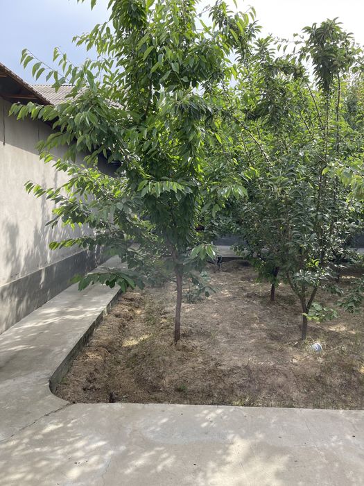 Дом в Янгиюле. 4.5 соток, во дворе 2 дома, общее 8 комнат.