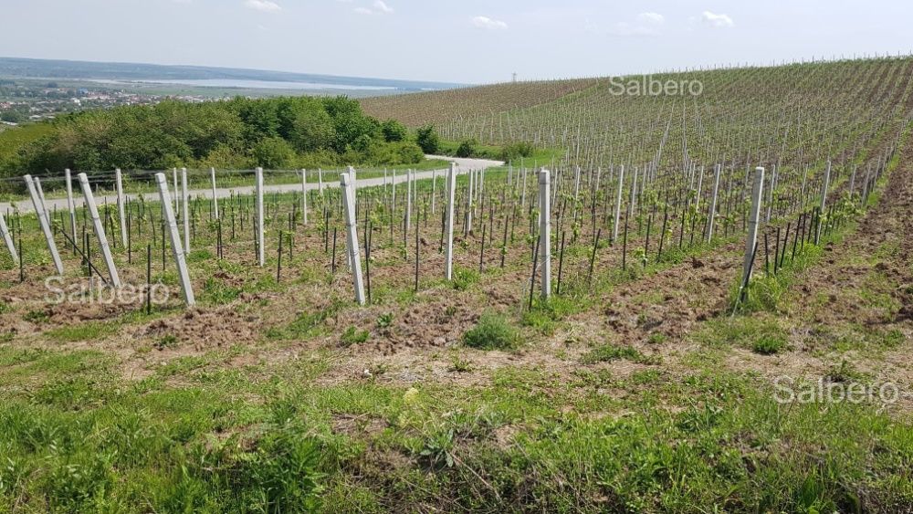 Spalieri si Stalpi din beton, Tg-Jiu, Scoarta.