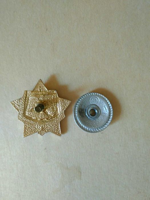 нагрудный знак воин спортсмен