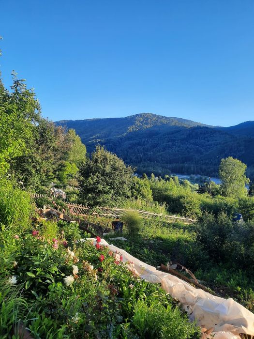 Продам дачу в садовом обществе Казахстан