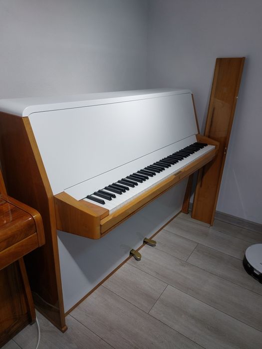 Pianina Rippen (transport gratuit, garanție)