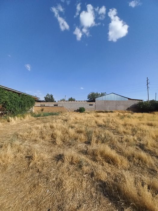 Seleksiya institutining ro'parasidagi mahallada 26-sotok yer sotiladi