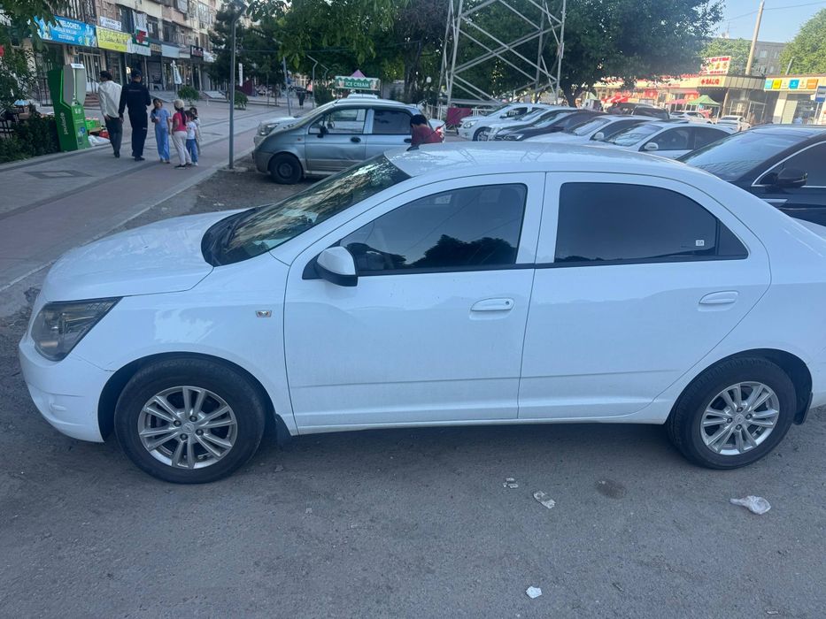 Other Cobalt 2023 — 6