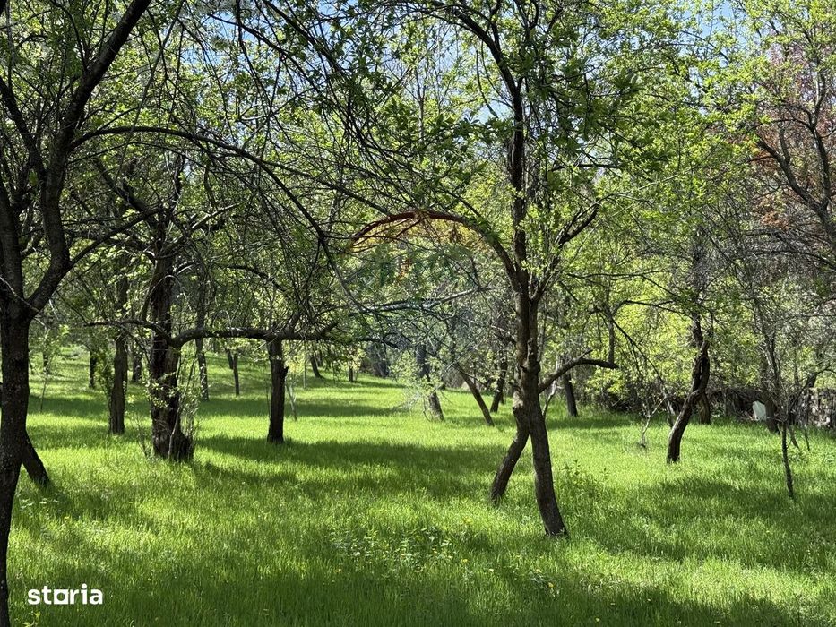 Casă  de vânzare în zona Câmpulung înconjurată de natura
