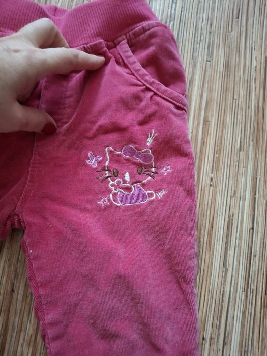 Штаны демисезонные