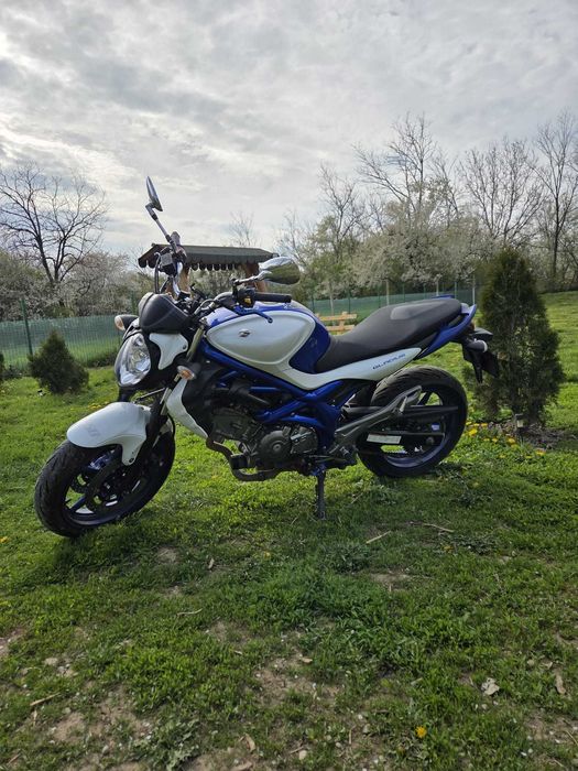 Suzuki Gladius SVF650