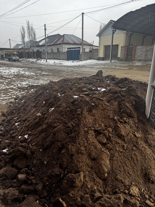 Навоз сатылады көң