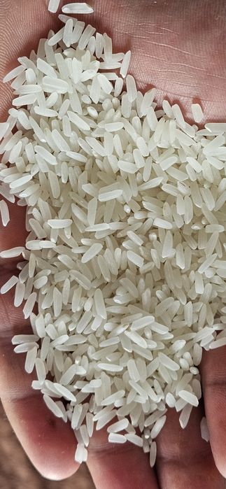 Рис  Күріш лазер оптом и розницу