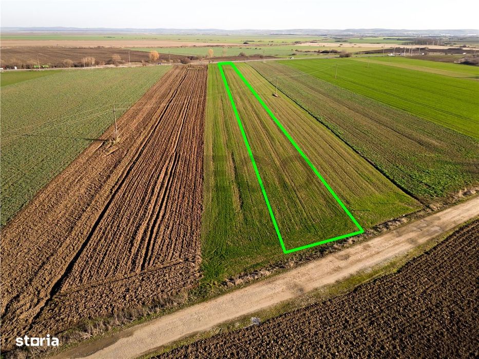 RECO teren 5000mp cu deschidere la DN19 Tamaseu