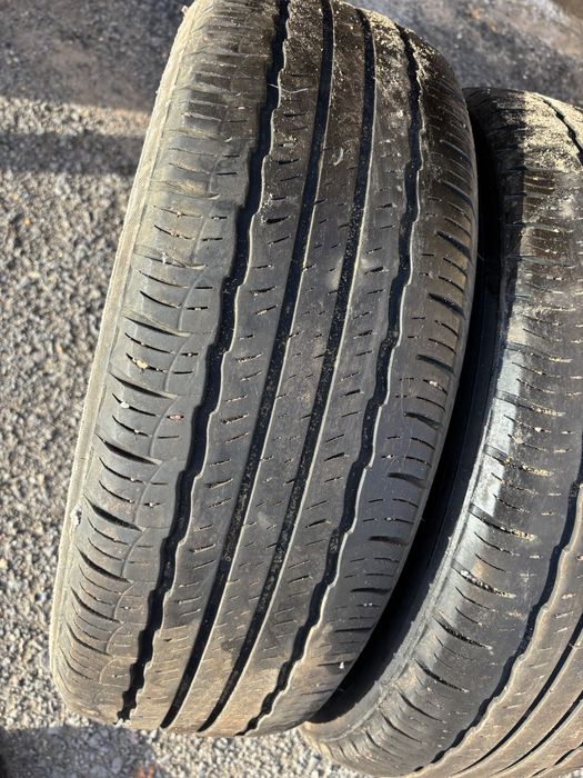 Донгелек сатылады