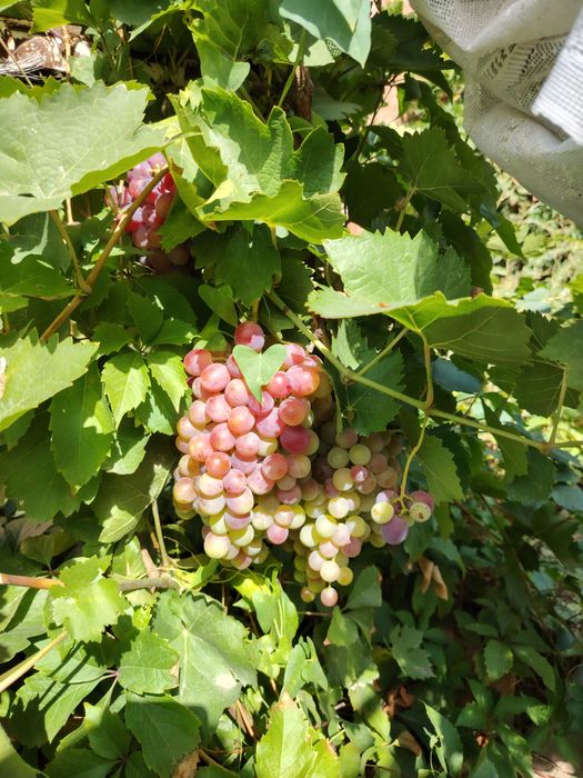 Продам коттедж, район вокзала