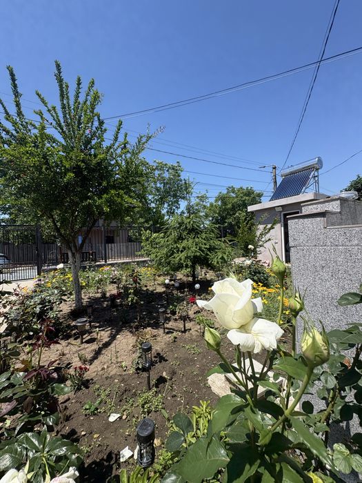 Casă de închiriat Tuzla – aproape de plajă, ideală vară