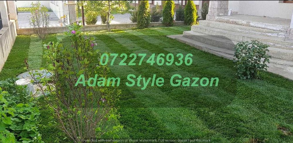 Gazon Profesional pentru Amenajări Premium