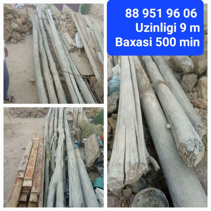 Aq terek uzinligi 8 9 metir 7 shtuk